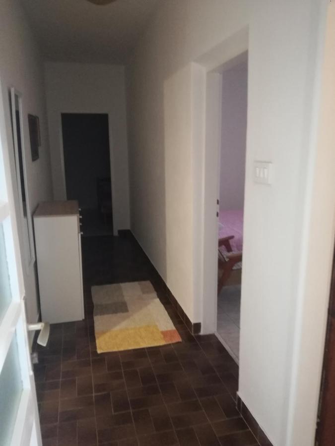 Apartman Laus Zavalatica Eksteriør billede